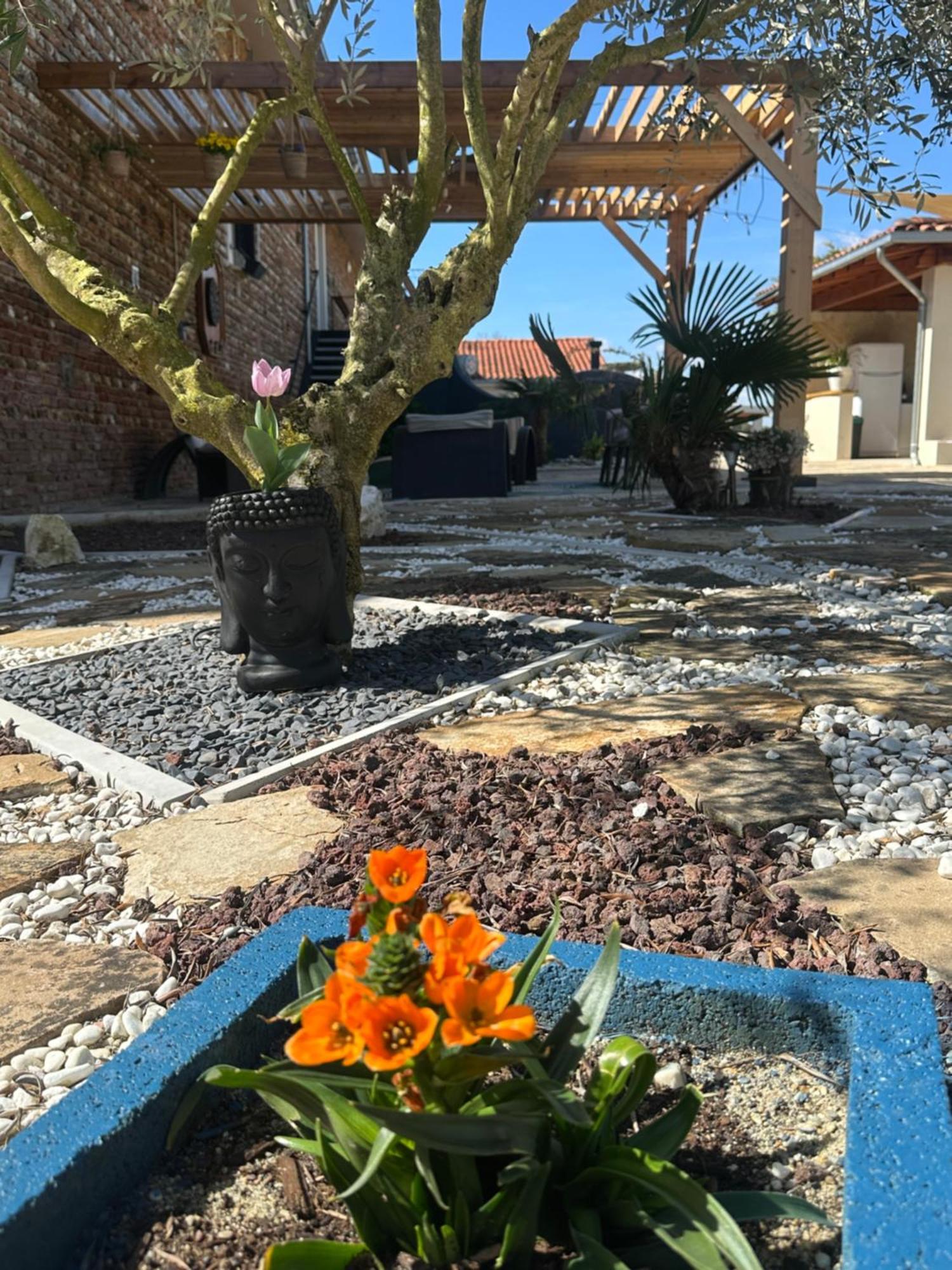 Chambres D'Hotes Doux Brazil Lisle-sur-Tarn Екстериор снимка